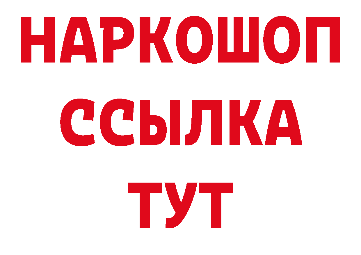 Альфа ПВП СК КРИС как войти площадка гидра Гусев